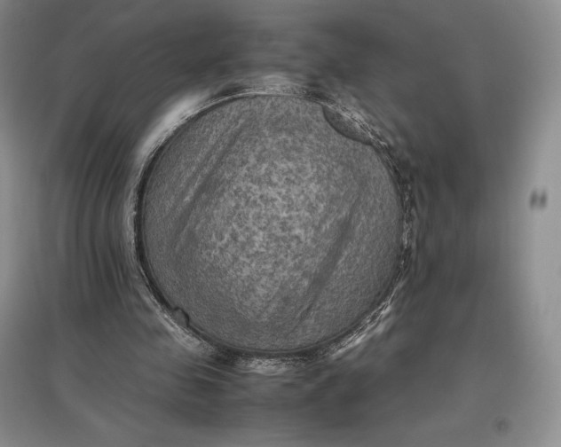 X0000097600341200803141921