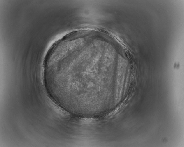 X0000097600342200803141921