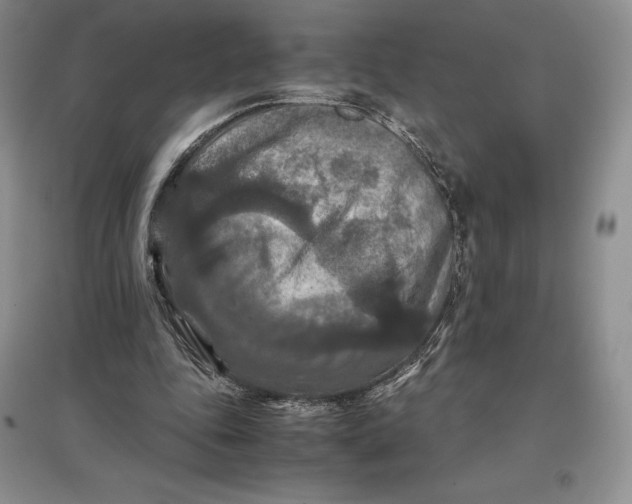 X0000097600343200803141921