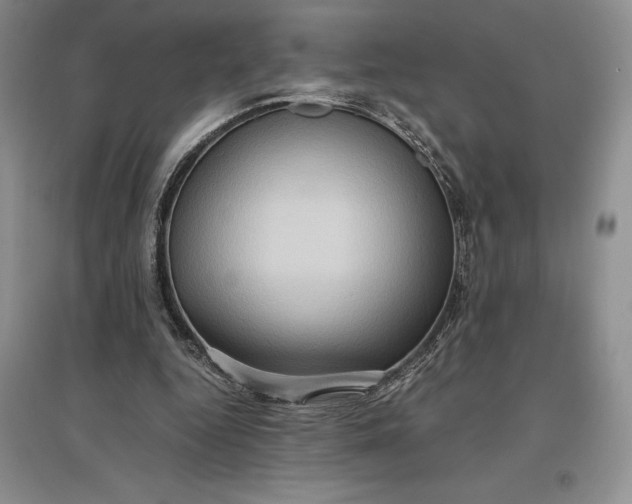 X0000097600344200803141921