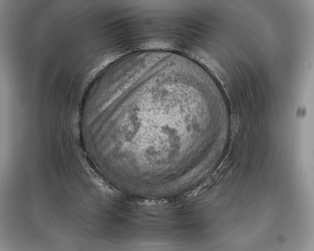 X0000097600345200803141921