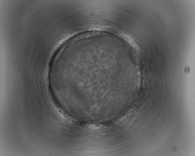 X0000097600346200803141921