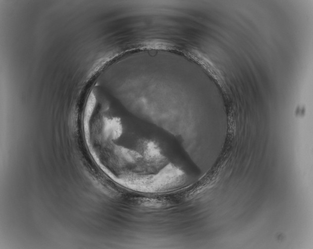 X0000097600347200803141921