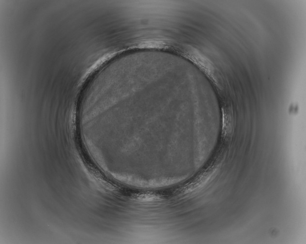 X0000097600348200803141921