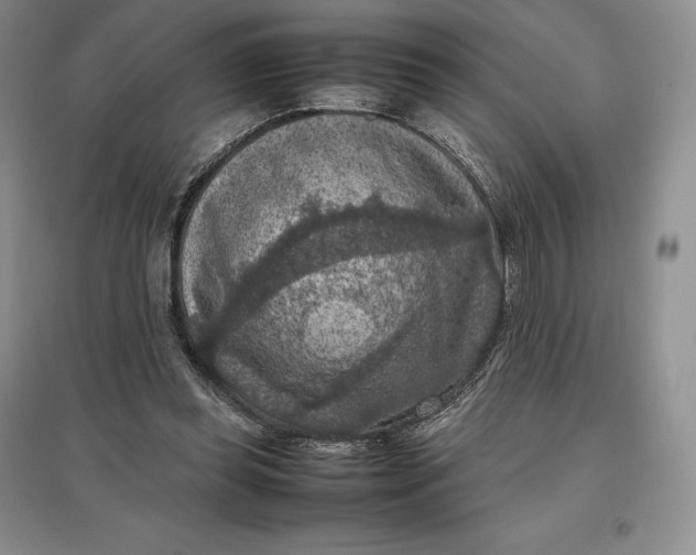 X0000097600349200803141921