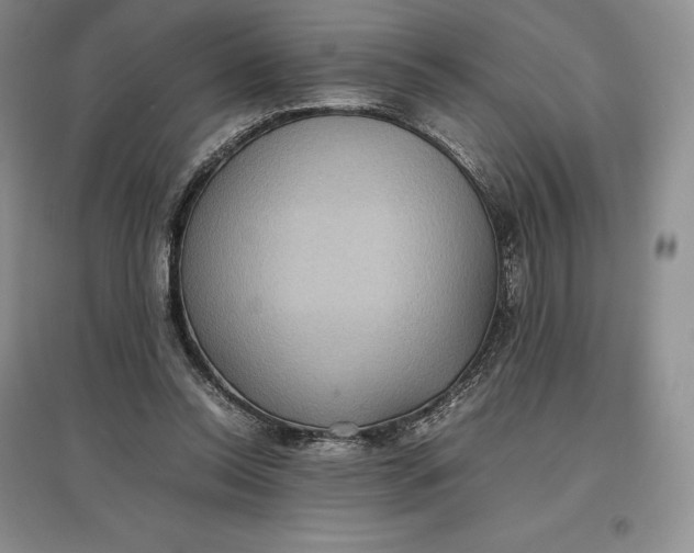 X0000097600350200803141921