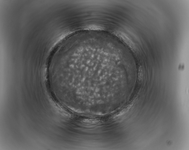 X0000097600351200803141921
