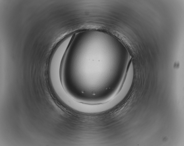 X0000097600352200803141921