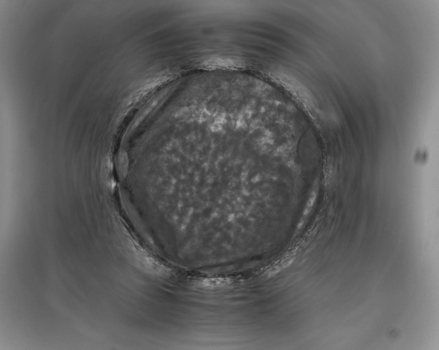 X0000097600353200803141921