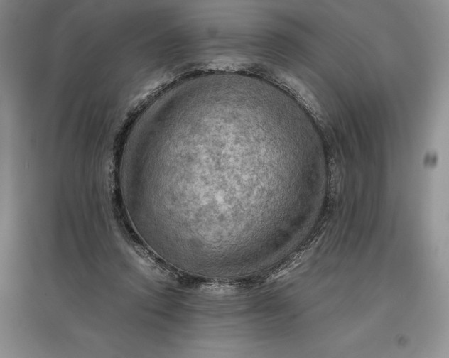 X0000097600354200803141921