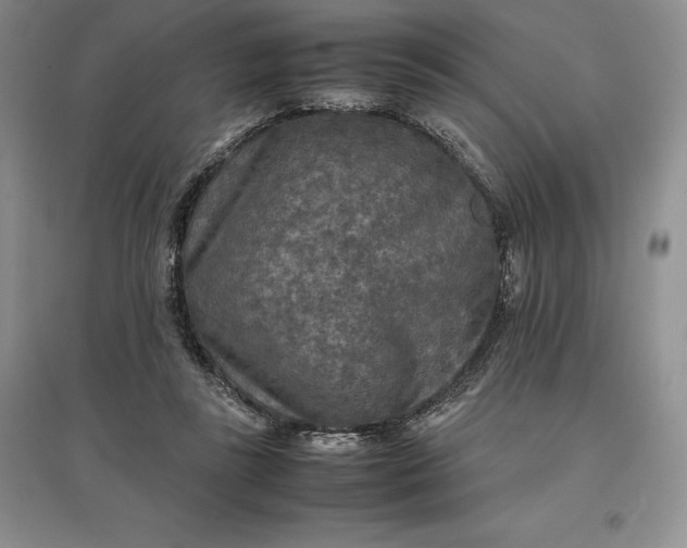 X0000097600355200803141922