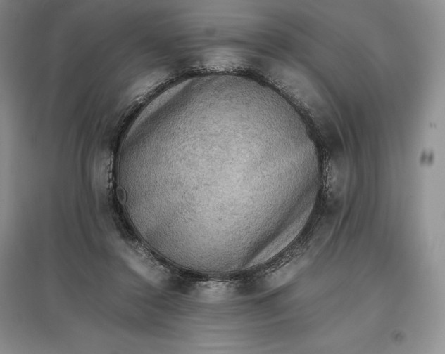 X0000097600356200803141922
