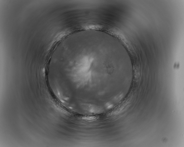 X0000097600357200803141922