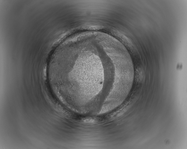 X0000097600358200803141922