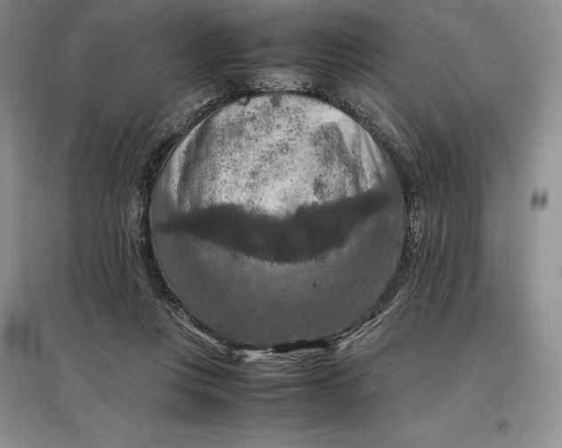 X0000097600359200803141922