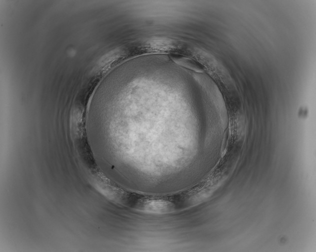 X0000097600360200803141922