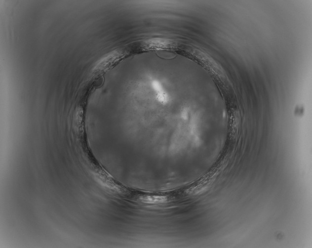 X0000097600361200803141922