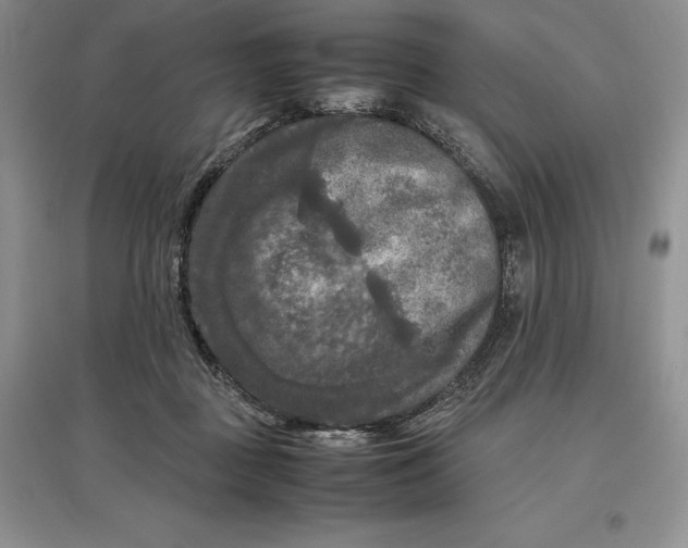 X0000097600363200803141922