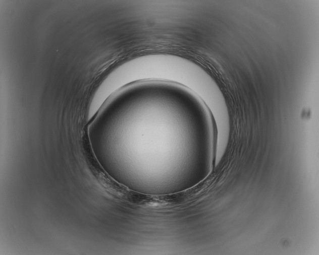X0000097600364200803141922