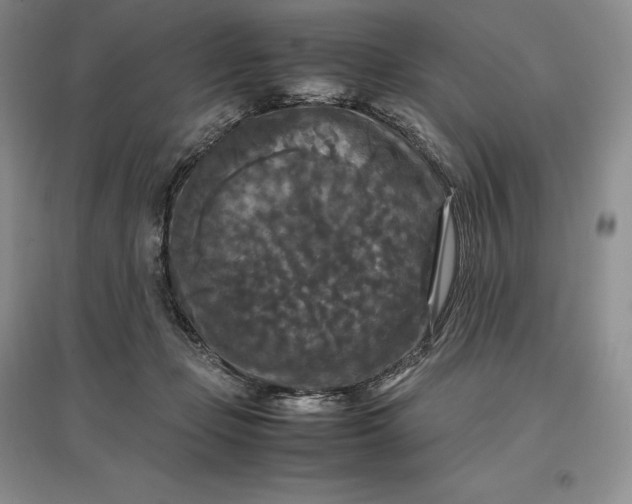 X0000097600365200803141922