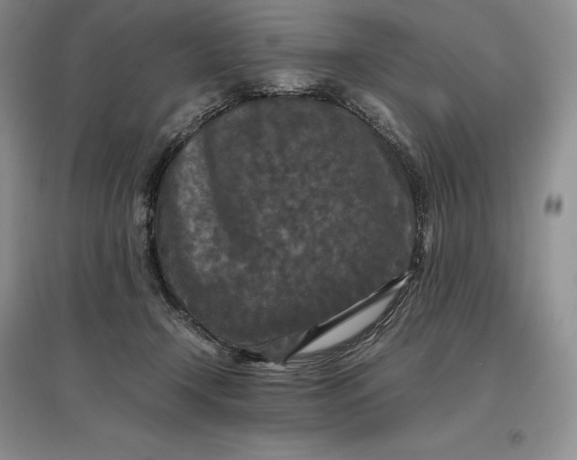 X0000097600366200803141922