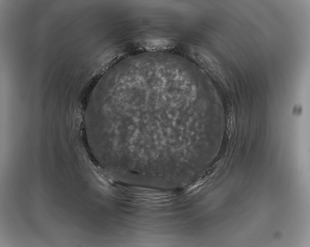 X0000097600367200803141922