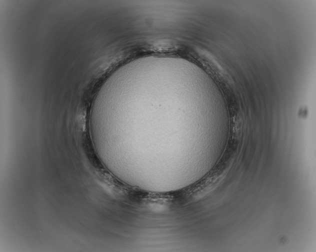 X0000097600368200803141922