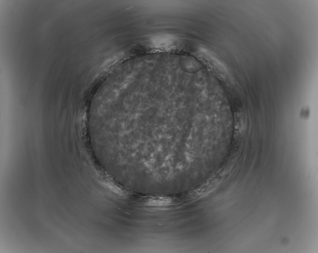 X0000097600369200803141922