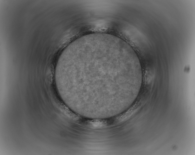 X0000097600370200803141922