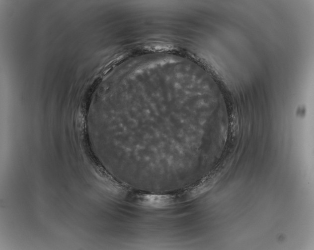 X0000097600371200803141922