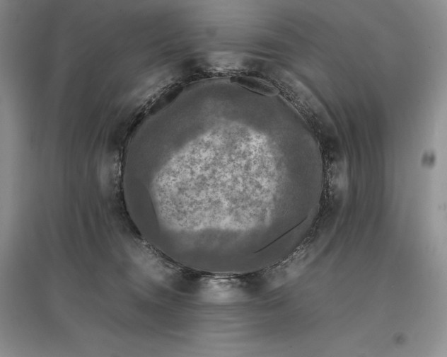 X0000097600372200803141922