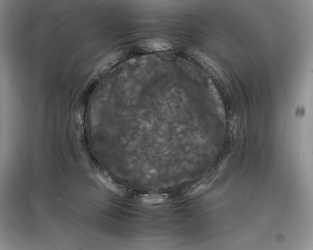 X0000097600373200803141922