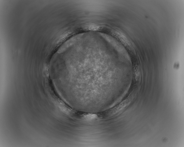 X0000097600374200803141922