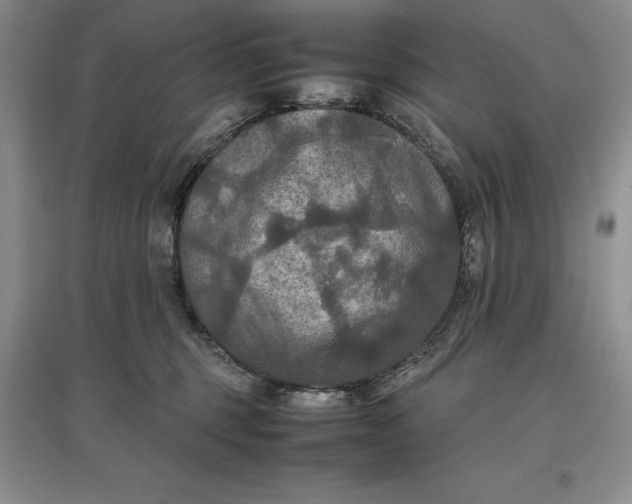 X0000097600375200803141922
