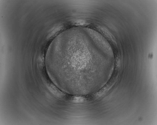 X0000097600376200803141922