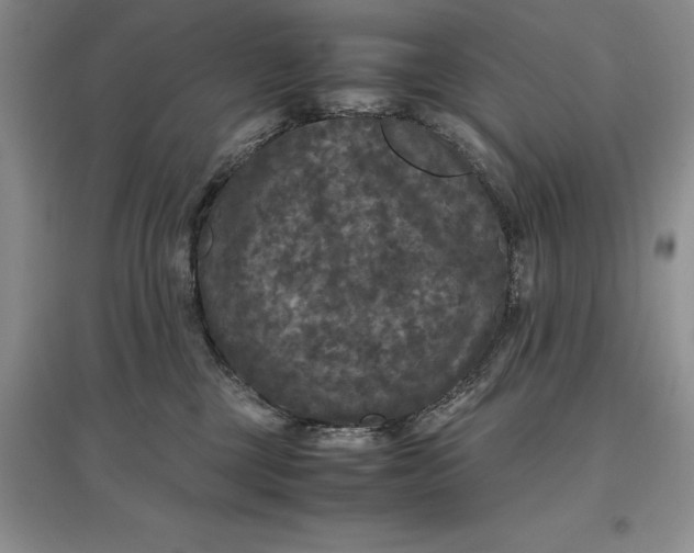 X0000097600377200803141922