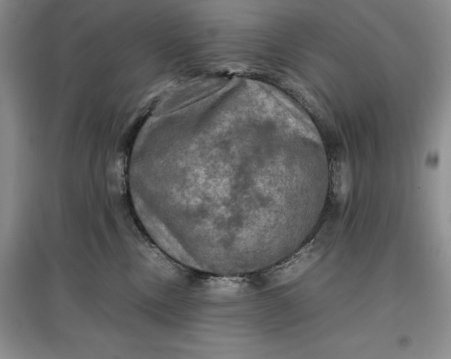X0000097600378200803141922