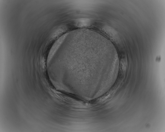 X0000097600380200803141922