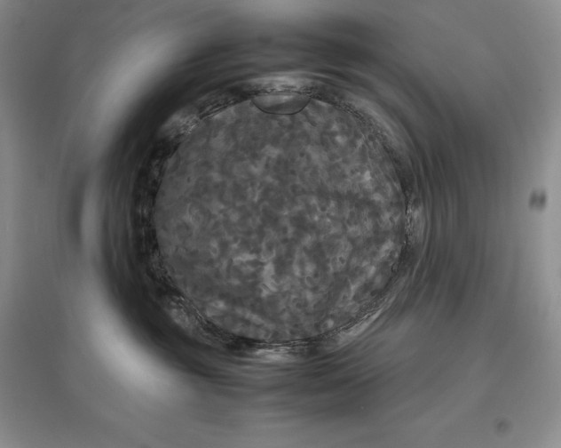 X0000097600381200803141922