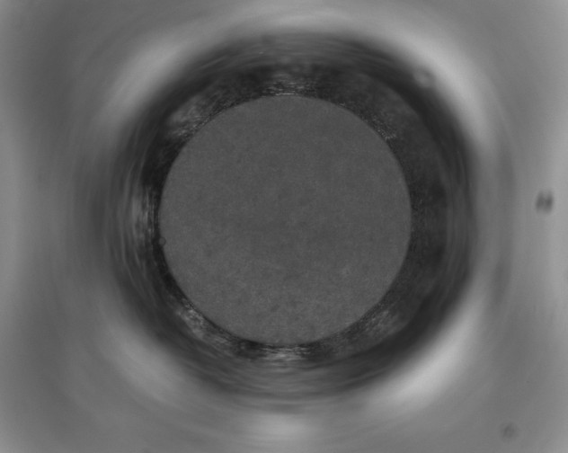 X0000097600382200803141922