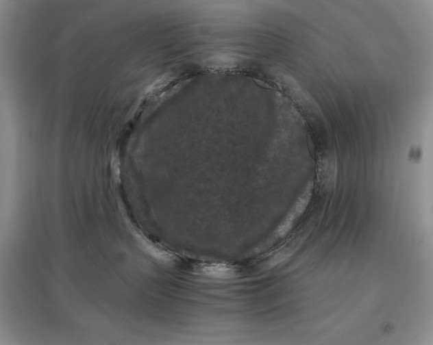 X0000097600383200803141922