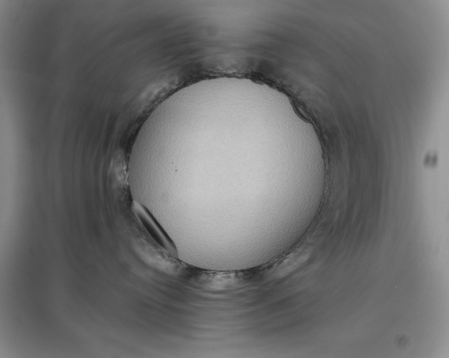 X0000097600384200803141922