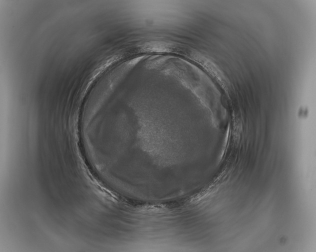 X0000097600386200803141921