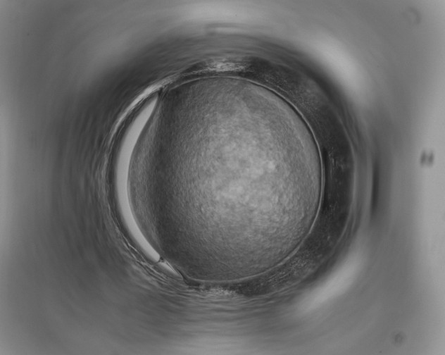 X0000097600387200803141921