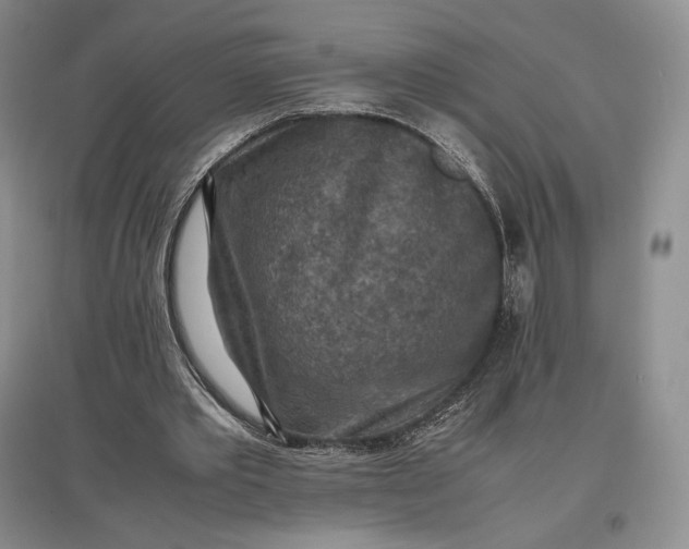 X0000097600389200803141921