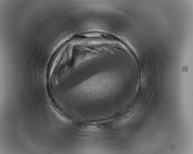 X0000097600390200803141921
