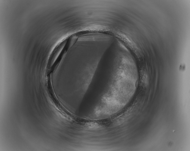 X0000097600392200803141921