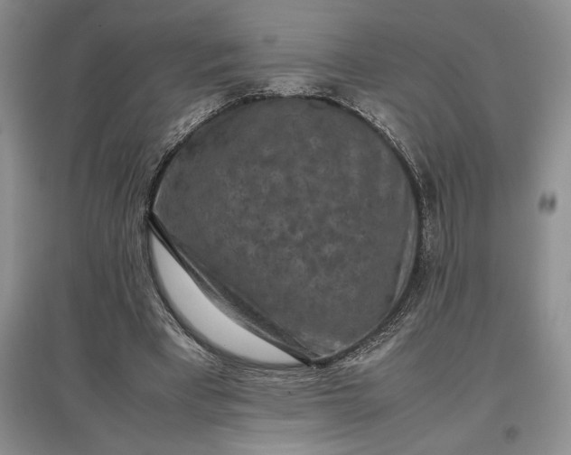 X0000097600393200803141921