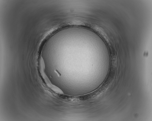 X0000097600395200803141921