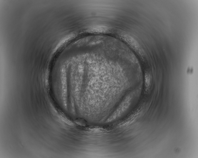 X0000097600396200803141921